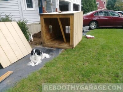 Shed I bought on Craigslist. Doggie not included.