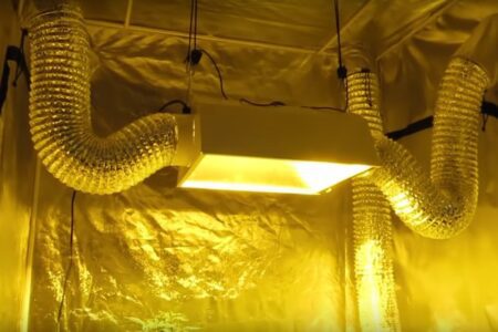 Grow tents do require good ventilation systems