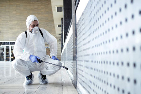 Wear personal protective equipment when spraying mold
